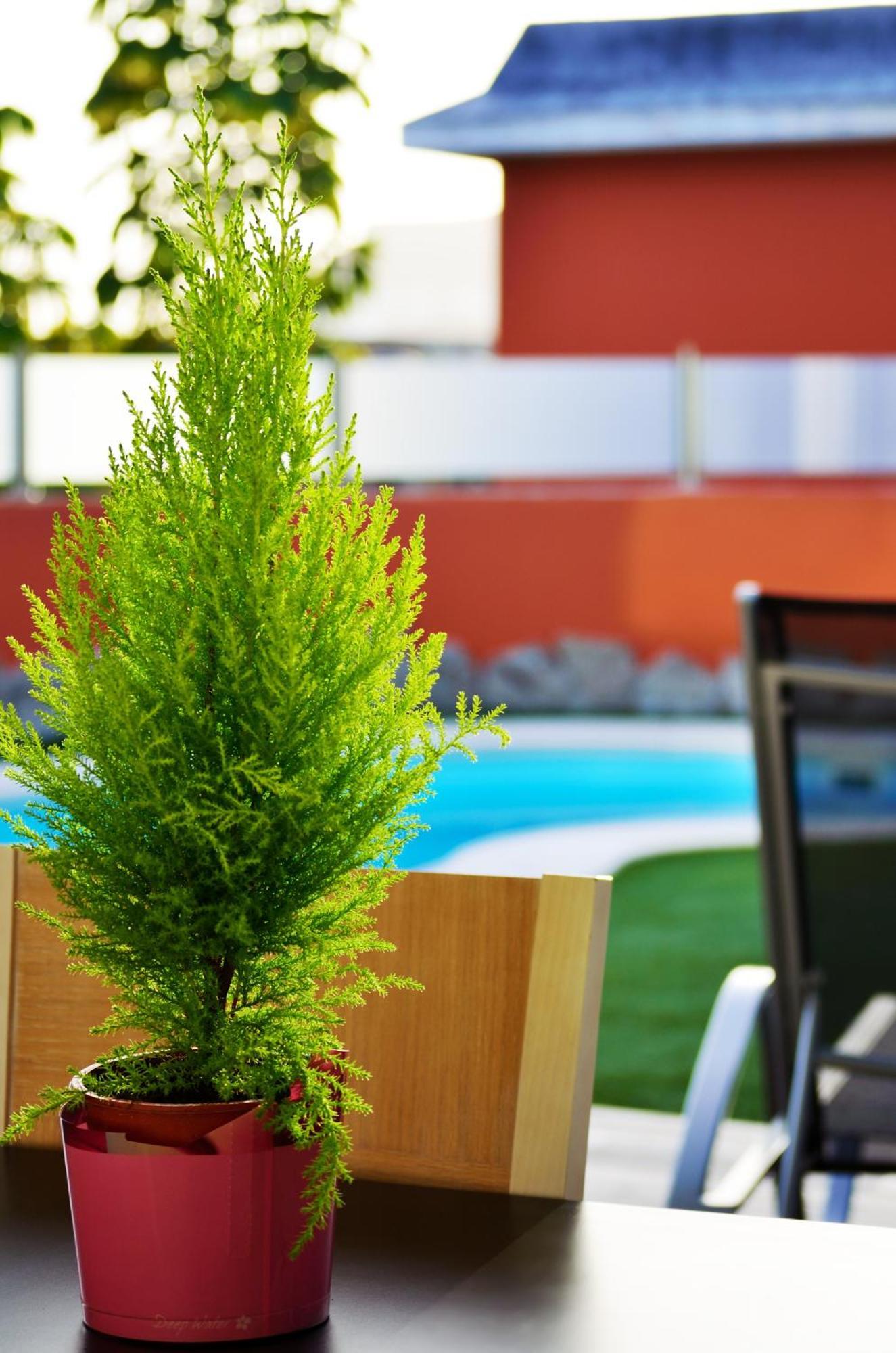 Villas Opal Anfi Tauro Puerto Rico  Ngoại thất bức ảnh